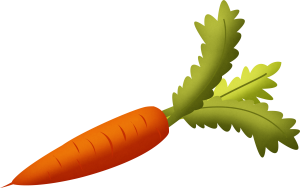 Carrot PNG image-4997